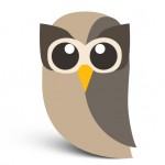 HootSuite Normal Owly